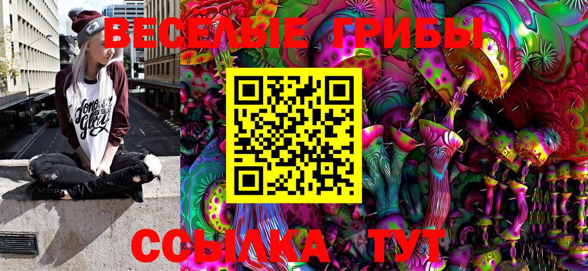 Псилоцибиновые грибы GOLDEN TEACHER  Вход с VPN  Тула 